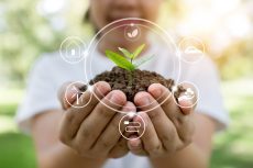 Plant tree and  innovation of save world  concept, girl holding small sapling  growing up from soil on palm with saving best quality of our natural environment circle