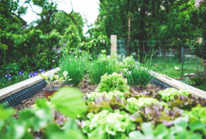 Les jardins comme outil de développement touristique 3