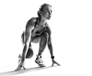 Analyser les performances économiques de son élevage