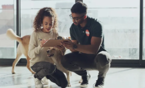 Organiser les registres et la traçabilité dans un élevage canin ou félin