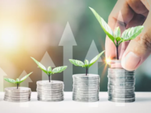 Piloter la rentabilité de l’élevage