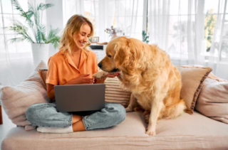 Sécuriser son élevage canin et/ou félin : Réglementation, traçabilité, gestion administrative et sanitaire